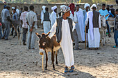 Mann und sein Esel auf dem montäglichen Viehmarkt; Keren, Anseba Region, Eritrea