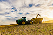 Ein Traktor mit einem Getreidewagen, der auf die nächste Ladung bei der Rapsernte wartet; Legal, Alberta, Kanada