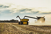 Offloading a harvested canola crop with an auger into a grain wagon; Legal, Alberta, Canada