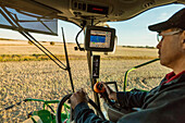 A farmer in the cab of his combine harvesting Canola at sunset and using computer automation in his equipment; Legal, Alberta, Canada