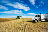 Ein Getreidetransporter wartet während der Rapsernte auf seine nächste Ladung, während ein Mähdrescher auf dem Feld arbeitet; Legal, Alberta, Kanada
