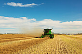 A combine is at work in the field while a grain truck waits for its next load during a canola harvest; Legal, Alberta, Canada