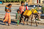 Äthiopische Kinder mit einem Esel, der Wasserkanister trägt; Axum, Tigray-Region, Äthiopien