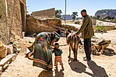 Ethiopian family and their donkey; Dugem, Tigray Region, Ethiopia