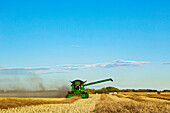 A farmer driving a combine with a full load ready to transfer with the auger arm extended during a Canola harvest; Legal, Alberta, Canada
