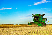 A farmer driving a combine with a nearly full load during a Canola harvest; Legal, Alberta, Canada