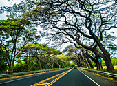 Straße auf dem Weg nach Kaplua von Kihei auf der Insel Maui; Maui, Hawaii, Vereinigte Staaten von Amerika