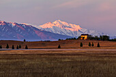 Mount Silvertip leuchtet bei Sonnenaufgang über landwirtschaftlichen Flächen in Delta Junction; Alaska, Vereinigte Staaten von Amerika