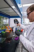Laboratory testing of cannabis; Cave Junction, Oregon, United States of America