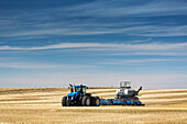 Traktor mit Einzelkornsämaschine, Aussaat eines Stoppelfeldes bei blauem Himmel und dunstigen Wolken, nahe Beiseker; Alberta, Kanada