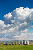Eine Reihe großer Getreidesilos aus Metall mit dramatischen Gewitterwolken und blauem Himmel im Hintergrund, westlich von Calgary; Alberta, Kanada