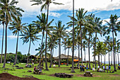 Large grassy park under palm trees with people at picnic tables; Easter Island, Chile