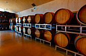 Wine barrels stored in a winery, South Okanagan Valley; Naramata, British Columbia, Canada