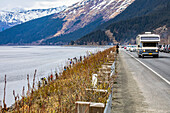 People dipping for Hooligan in Turnagain Arm right next to the Seward Highway in South-central Alaska, South of Anchorage. The hooligan are migrating to their spawning grounds and the dippers are able to intercept some of them near the shoreline; Alaska, United States of America