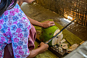Frau hockt und schneidet eine ganze Kokosnuss mit einem Messer und einem Brett; Shan-Staat, Myanmar