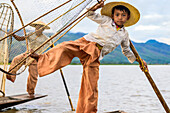 Traditional fishing by young fishermen in Inle Lake; Yawngshwe, Shan State, Myanmar
