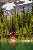 Wooden log cabin on a lake shoreline reflecting in the sun, with evergreen trees and mountain cliff in the background; Field, British Columbia, Canada