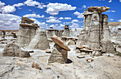 Unique rock formations, Bisti Badlands, Bisti/De-Na-Zin Wilderness, San Juan County; New Mexico, United States of America