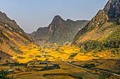 Rice terraces, fields and mountains in Cao Bang; Cao Bang Province, Vietnam