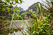Haus und Laub entlang des Roten Flusses, Rotes Flussdelta; Ninh Binh, Vietnam