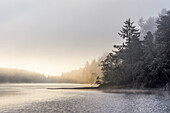 Nebel, Brise und Sonnenlicht tragen zu einer nebligen Szene im Fort Stevens State Park an der Küste von Oregon bei; Hammond, Oregon, Vereinigte Staaten von Amerika