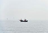 Fischerboot auf dem Meer bei nebligem Wetter mit umherfliegenden und schwimmenden Möwen; South Shields, Tyne and Wear, England