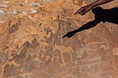 Die Hand und der Schatten eines Mannes zeigen auf eine alte Felsgravur, Twyfelfontein, Damaraland; Kunene Region, Namibia