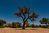 Damaraland; Kunene-Region, Namibia