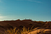 Silhouettierter Tourist steht und schaut auf die Spitze einer Sanddüne, Elim-Düne, Namib-Wüste; Sesriem, Namibia