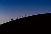 Silhouette von Touristen beim Besteigen der Düne 45 in der Abenddämmerung, Sossusvlei, Namib-Wüste; Namibia
