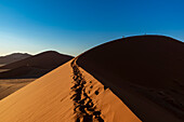Silhouette von Touristen, die die Düne 45 in der Morgendämmerung besteigen, Sossusvlei, Namib-Wüste; Namibia
