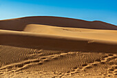 Sand dunes, Sossusvlei, Namib Desert; Namibia