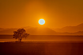 Sonnenaufgang in Aluvlei, Namib-Naukluft-Nationalpark; Namibia