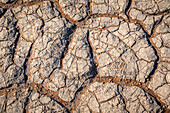 Trockenheit, Sossusvlei, Namib-Wüste, Namib-Naukluft-Nationalpark; Namibia