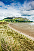 Irish coastline with beach grass and receded tide, with a plateau mountain and cliffs in the background during summer; Strandhill, County Sligo, Ireland