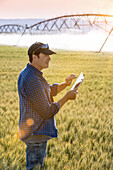 Landwirt, der in einem Weizenfeld steht, ein Tablet benutzt und den Ertrag prüft, während im Hintergrund die Bewässerung gespritzt wird; Alberta, Kanada
