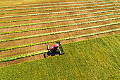 Aerial view of a swather cutting a barley field with graphic harvest lines; Beiseker, Alberta, Canada