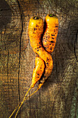 Close-up of twisted carrots slightly soiled on wooden board; Studio