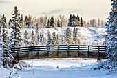Holzbrücke über einen schneebedeckten Bach mit vereisten Bäumen und schneebedecktem Berghang im Hintergrund; Calgary, Alberta, Kanada