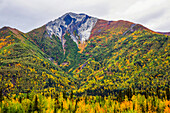 Berg mit herbstlich gefärbtem Laub gegenüber der Kennecott-Kupfermine; McCarthy, Alaska, Vereinigte Staaten von Amerika