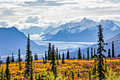 A glacier valley in the Chugach Mountains in autumn colours; Alaska, United States of America