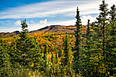 Herbstlandschaft mit Herbstfarben im Denali State Park; Alaska, Vereinigte Staaten von Amerika