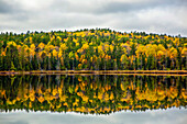 Wunderschöne Wasserspiegelung mit Herbstfarben am Swamper Lake. Der Swamper Lake liegt am Gunflint Trail in Nord-Minnesota; Minnesota, Vereinigte Staaten von Amerika