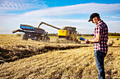 Ein Landwirt nutzt sein Tablet, um die Weizenernte zu verwalten, während ein Mähdrescher eine volle Ladung Getreide in einen Getreidewagen entlädt: Alcomdale, Alberta, Kanada