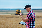 Ein Landwirt inspiziert eine Weizenernte und nutzt sein Tablet, um die Weizenernte zu verwalten, während im Hintergrund ein Mähdrescher arbeitet: Alcomdale, Alberta, Kanada