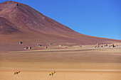 Salvador-Dalí-Wüste; Potosi, Bolivien