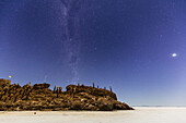 Milky Way over Cactus Island in the Salar de Uyuni; Potosi, Bolivia