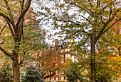 Autumn coloured foliage on the trees in Central Park with a residential building in the background; New York City, New York, United States of America