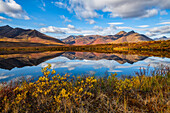 Die Herbstfarben tauchen die Landschaft entlang des Dempster Highway, Yukon, in bunte Farben. Ein erstaunlich schöner Ort zu jeder Jahreszeit, aber im Herbst wirkt er ganz anders; Yukon, Kanada