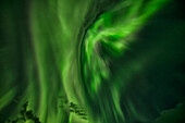 Aurora Borealis oder Nordlichter erhellen den Nachthimmel über Yukon; Yukon, Kanada